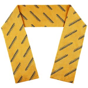 WEAR by Erin Andrews Nashville Predators Team Wordmark Scarf