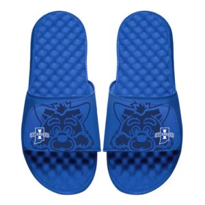 Men's ISlide  Royal Indiana State Sycamores Tonal Pop Slide Sandals